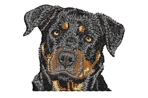 Rottweiler Embroidery Design Review