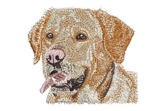 Yellow Labrador Retriever Embroidery Design Review